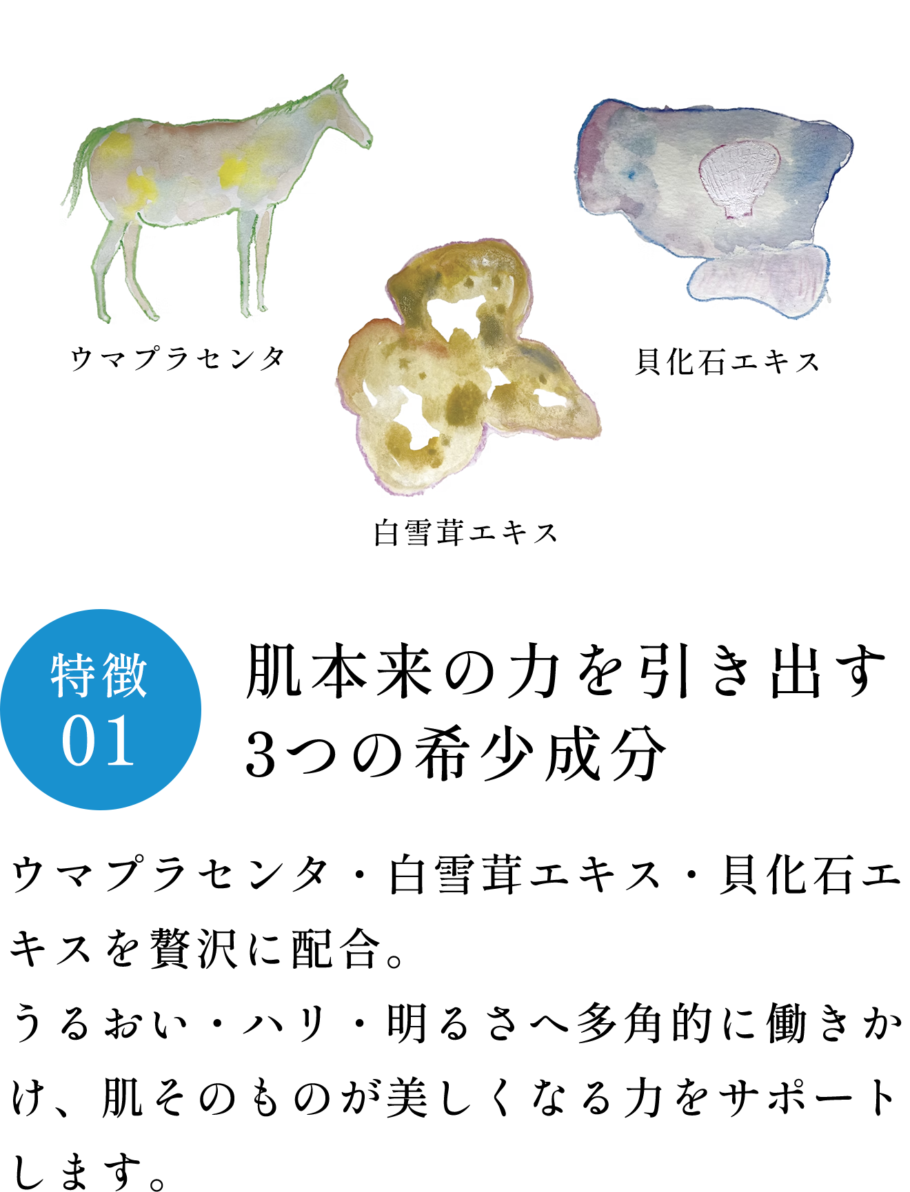 特徴01 肌本来の力を引き出す3つの希少成分