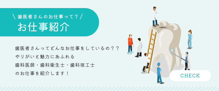 お仕事紹介